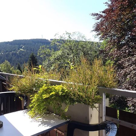 Residenz Bocksberg-Blick & St. Florian Goslar Exterior foto